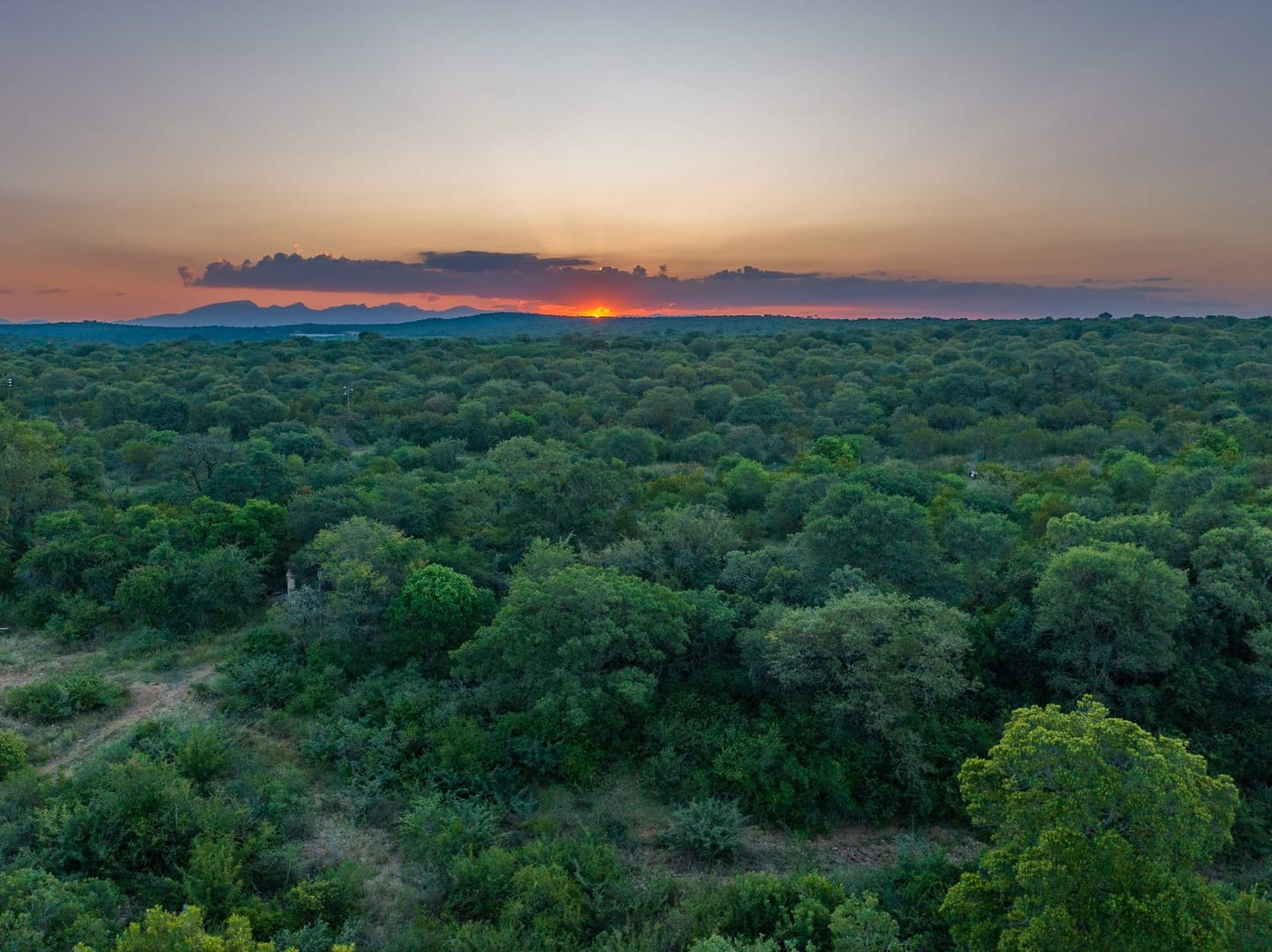 Sundowners at Treetop Sundowner Deck 2