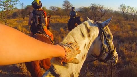 Horse Riding 2