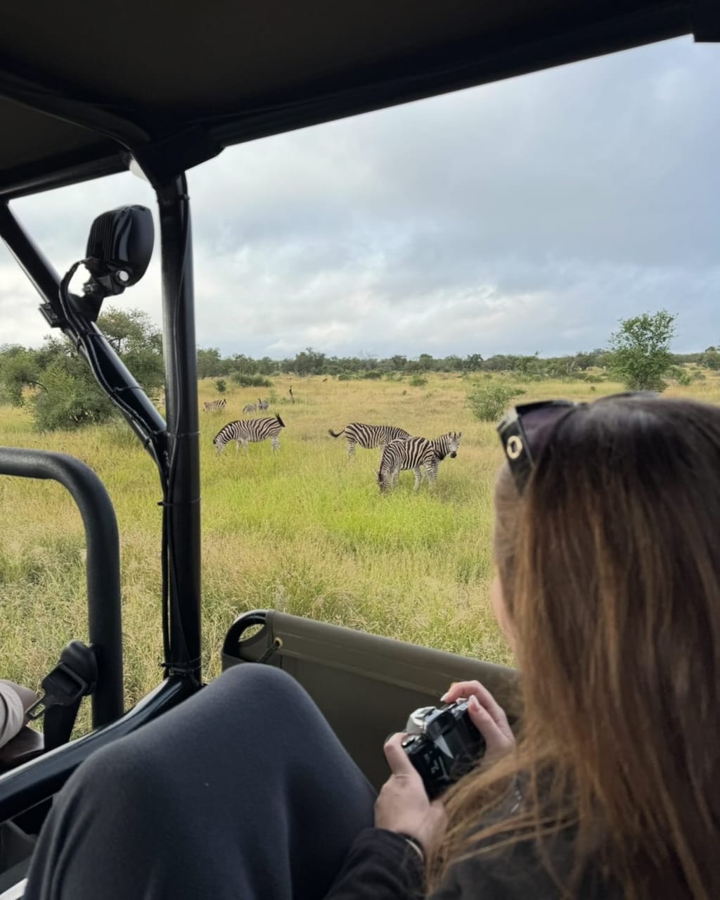 Kruger Shared Game Drive 1