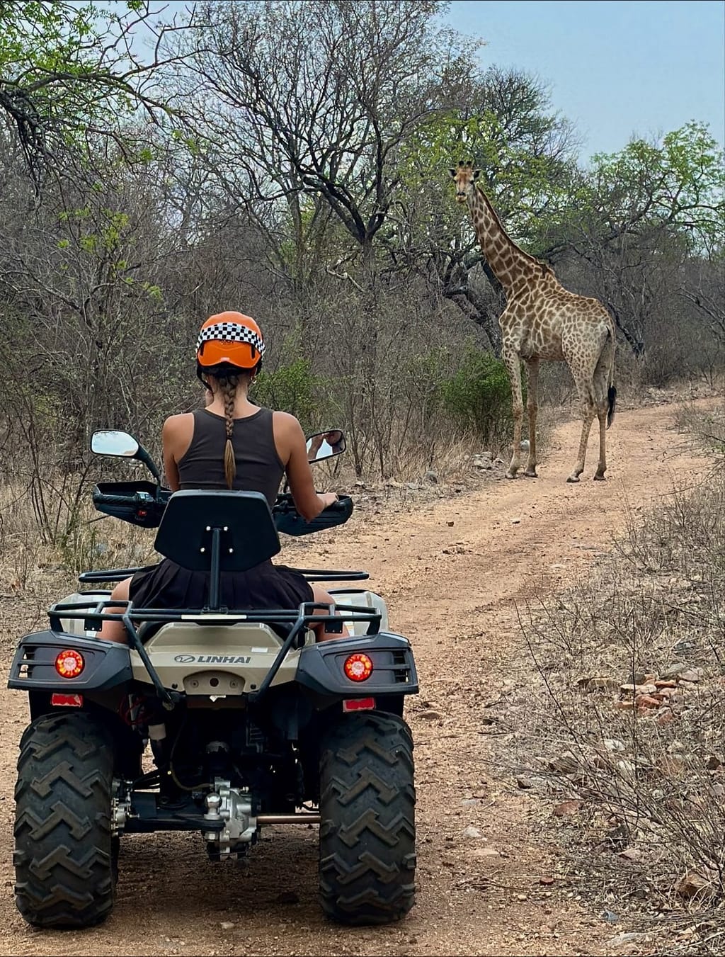 Quad Bike Safari (1h) 1