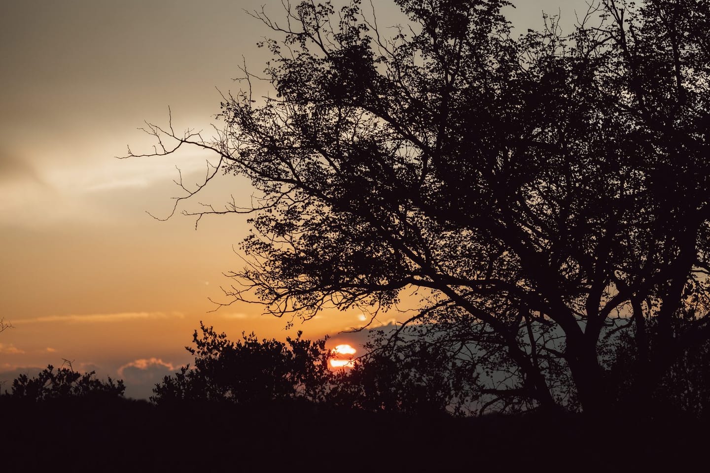 Moonlight Game Drive 3