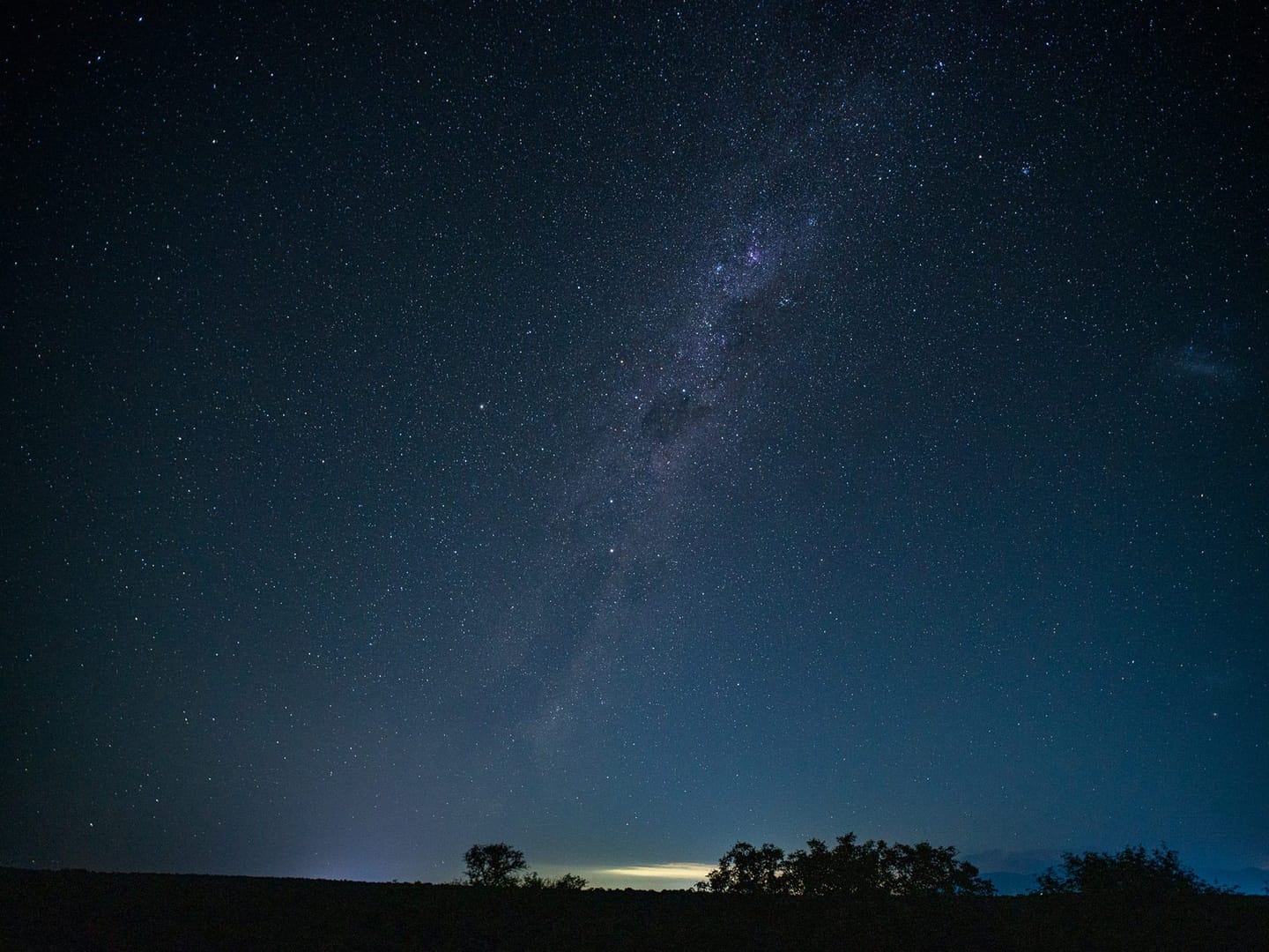 Nighttime Game Drive 1